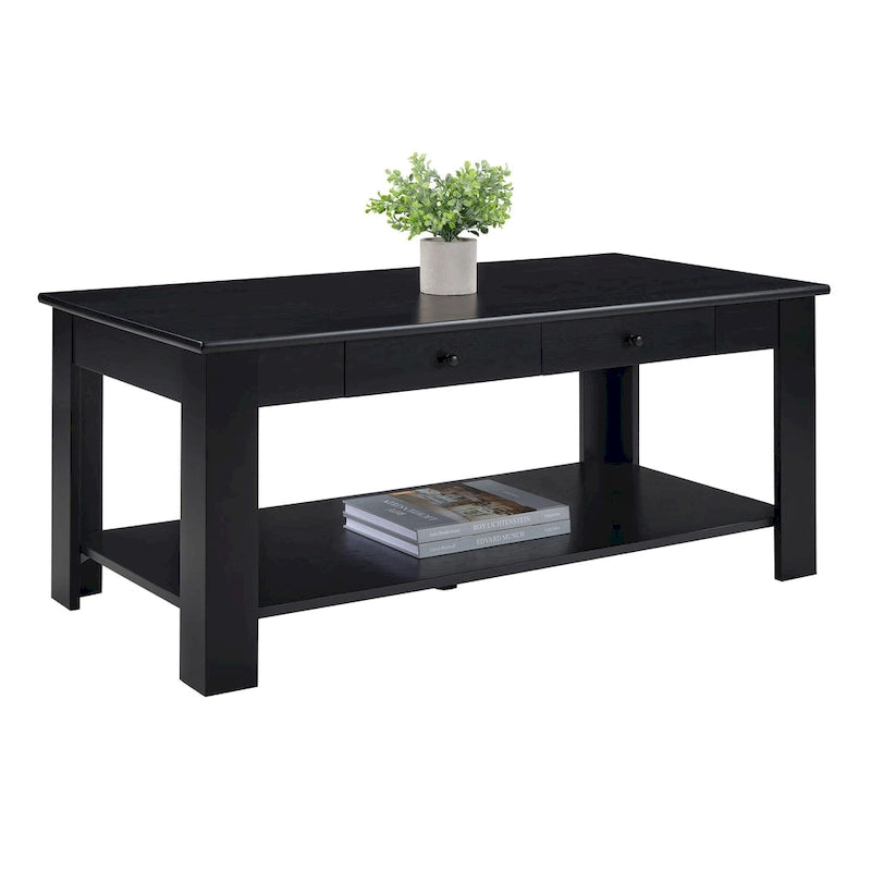 Table basse à 2 tiroirs avec étagère